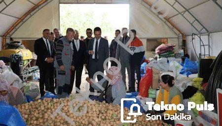 Dinar’da ceviz sezonu bereketle açıldı