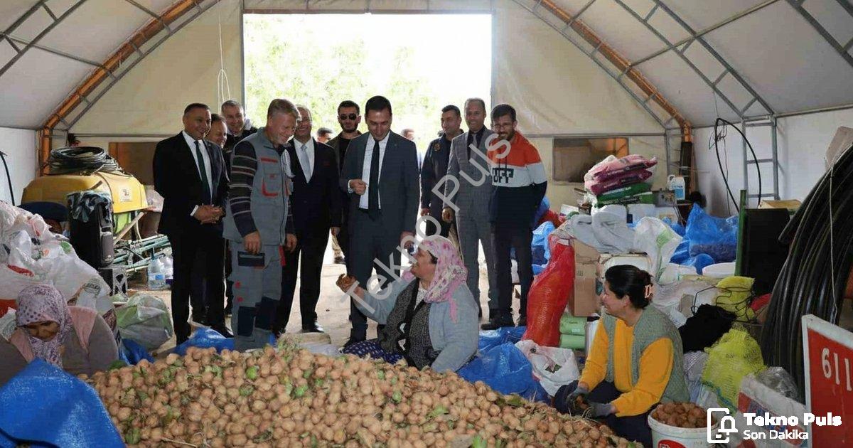 "Dinar’da ceviz sezonu bereketle açıldı" başlıklı haber için fotorealistik, profesyonel bir haber gö