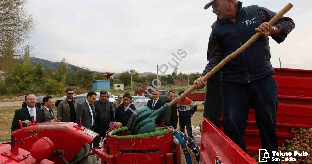 AFYONKARAHİSAR'IN DİNAR İLÇESİNDE CEVİZ HASADI BAŞLARKEN, REKOLTENİN BU YIL ÇİFTÇİLERİ MEMNUN ETTİĞİ BELİRTİLDİ.