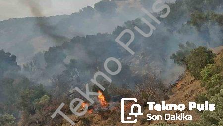 Aydın Bozdoğan’da Orman Yangını Paniği: Ekipler Rüzgara Karşı Mücadele Ediyor