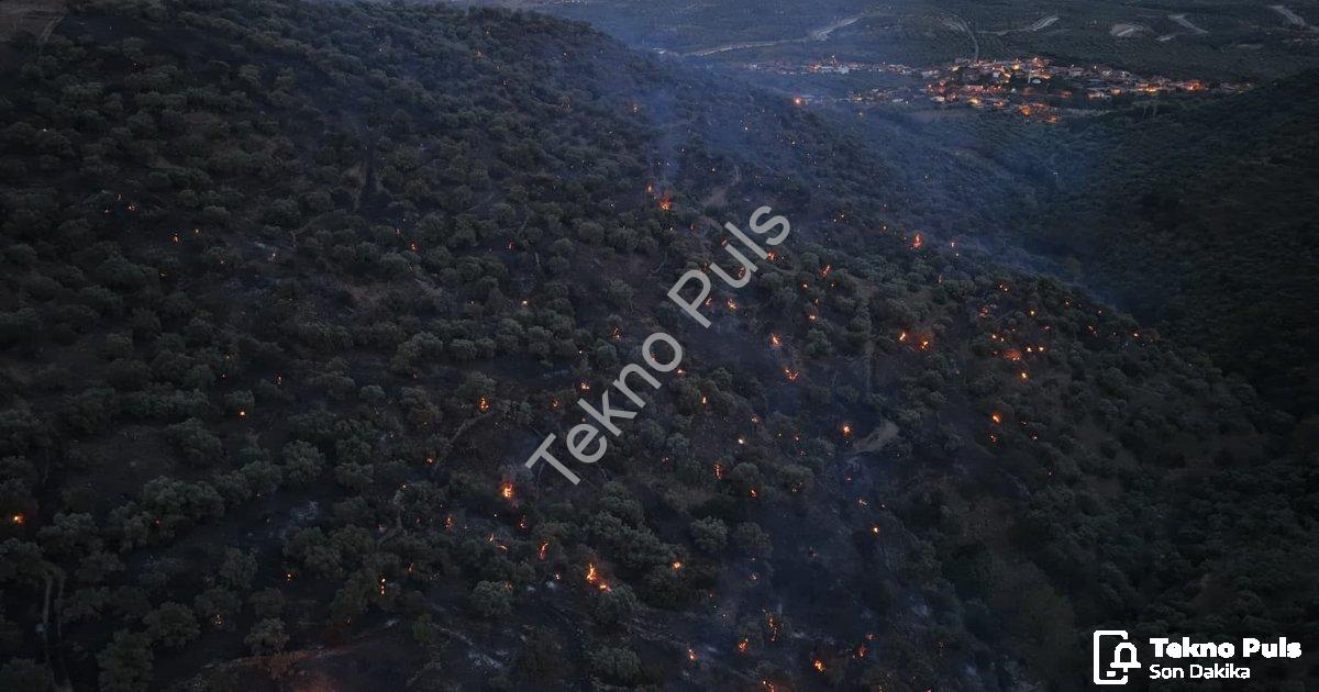 "Aydın Bozdoğan Yangınında Sevindiren Haber: Alevler Kontrol Altına Alındı" başlıklı haber için foto