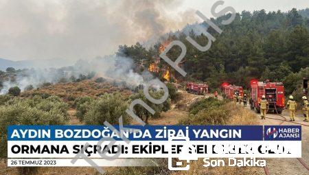 Aydın Bozdoğan’da Zirai Yangın Ormana Sıçradı: Ekipler Seferber Oldu