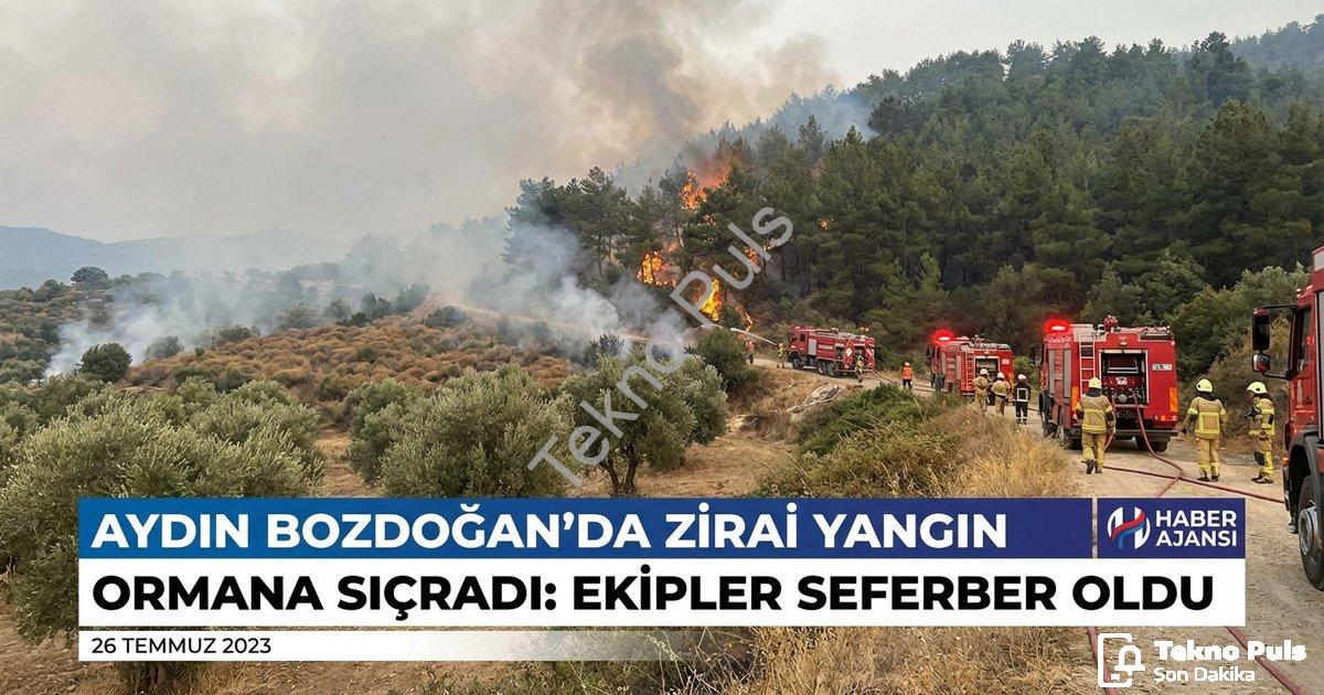 "Aydın Bozdoğan'da Zirai Yangın Ormana Sıçradı: Ekipler Seferber Oldu" başlıklı haber için fotoreali