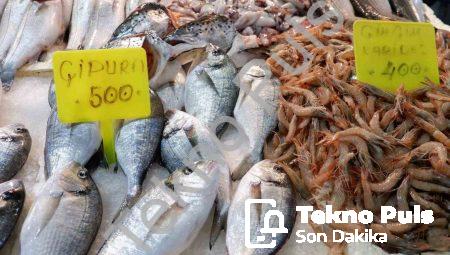 Foça Balık Hali’nde Kış Bereketi: Sardalya ve Uskumru Mevsimi Başladı