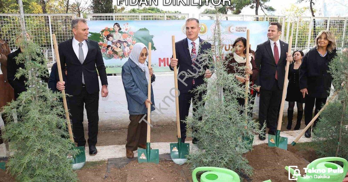 "Muğla’da Öğretmenler İçin 16 Bin 453 Fidan Dikiliyor" başlıklı haber için fotorealistik, profesyone