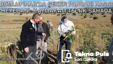 Dumlupınar’da Şeker Pancarı Hasat Heyecanı: Kaymakam Teltik Sahada