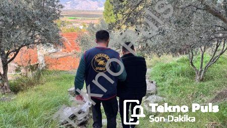 Aydın Söke’de Nefes Kesen Operasyon: Firari Ormanda Yakalandı