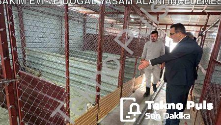 Sarıgöl’de Can Dostlara Yakın Markaj: Bakım Evi ve Doğal Yaşam Alanı İncelemesi