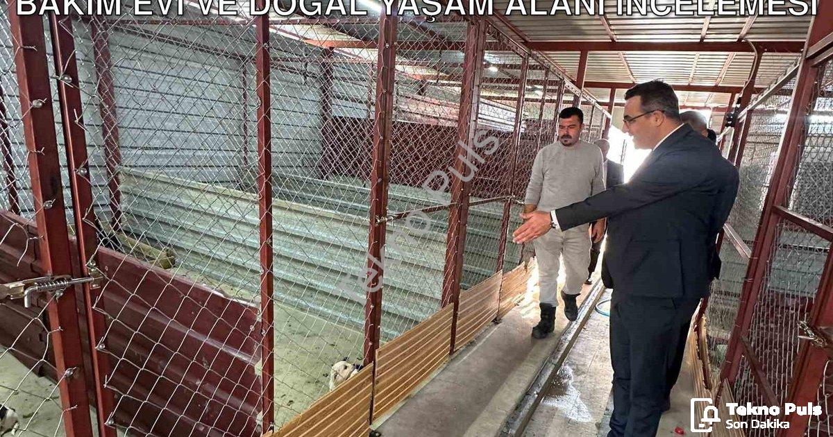 "Sarıgöl'de Can Dostlara Yakın Markaj: Bakım Evi ve Doğal Yaşam Alanı İncelemesi" başlıklı haber içi