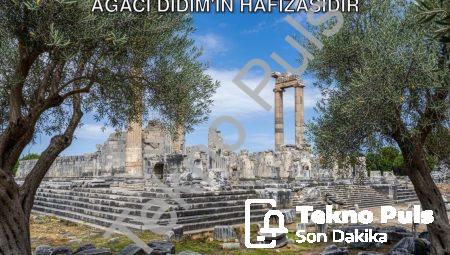 Başkan Gençay’dan Anlamlı Mesaj: Zeytin Ağacı Didim’in Hafızasıdır