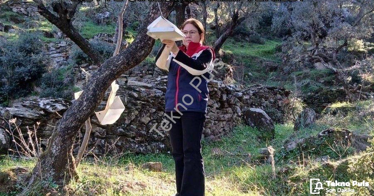 "Söke'de Çiftçiye Kritik Uyarı: Akdeniz Meyve Sineği Alarmı Verildi" başlıklı haber için fotorealist