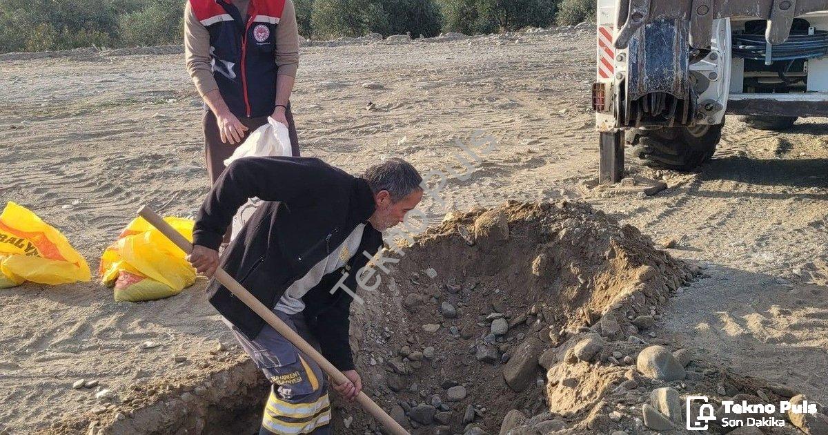 "Buharkent’te Tarımsal Kalkınma: İlek Bahçesi İçin İlk Adım Atıldı" başlıklı haber için fotorealisti