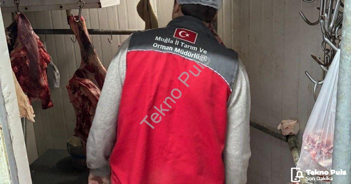 "Menteşe’de Gıda Güvenliği Seferberliği: Et İşletmeleri Sıkı Denetimde" başlıklı haber için fotoreal