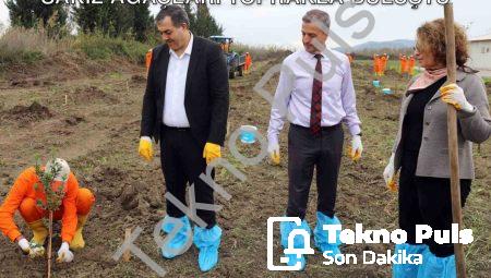 Dalaman Açık Cezaevi’nde Tarımsal Atılım: Sakız Ağaçları Toprakla Buluştu