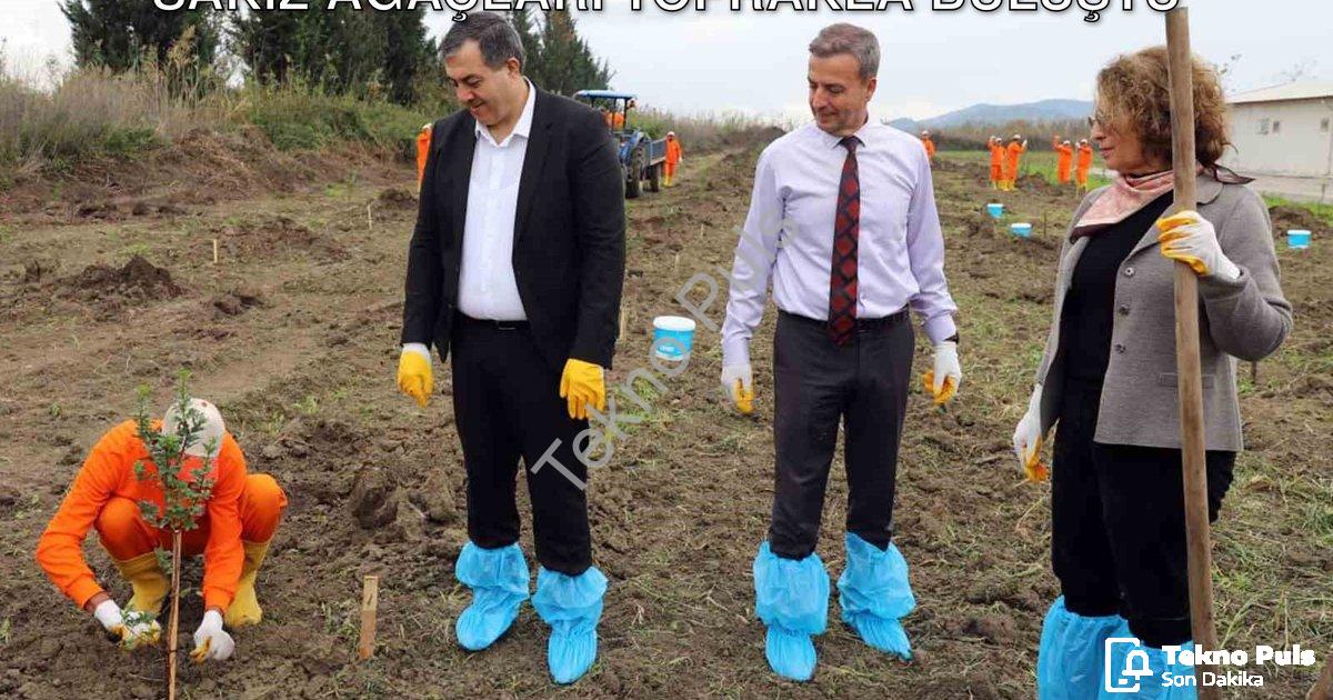 "Dalaman Açık Cezaevi'nde Tarımsal Atılım: Sakız Ağaçları Toprakla Buluştu" başlıklı haber için foto