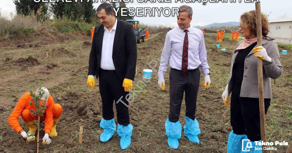 "Dalaman'da Tarım ve Rehabilitasyon: Cezaevi Arazisi Sakız Ağaçlarıyla Yeşeriyor" başlıklı haber içi