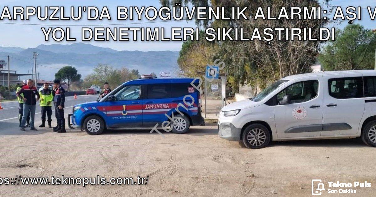 "Karpuzlu'da Biyogüvenlik Alarmı: Aşı ve Yol Denetimleri Sıkılaştırıldı" başlıklı haber için fotorea
