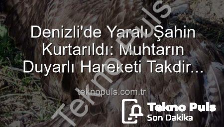 Denizli’de Yaralı Şahin Kurtarıldı: Muhtarın Duyarlı Hareketi Takdir Topladı