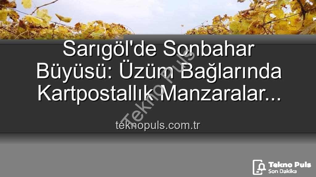 Sarıgöl üzüm bağları - Sarıgöl'de Sonbahar Büyüsü: Üzüm Bağlarında Kartpostallık Manzaralar Eşliğinde Budama Çalışmaları Başladı