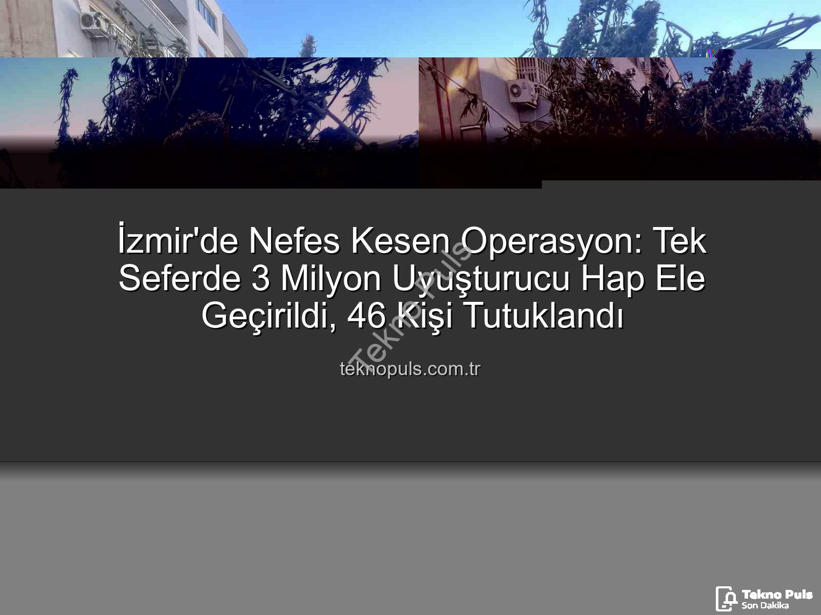 uyuşturucu hap - İzmir'de Nefes Kesen Operasyon: Tek Seferde 3 Milyon Uyuşturucu Hap Ele Geçirildi, 46 Kişi Tutuklandı