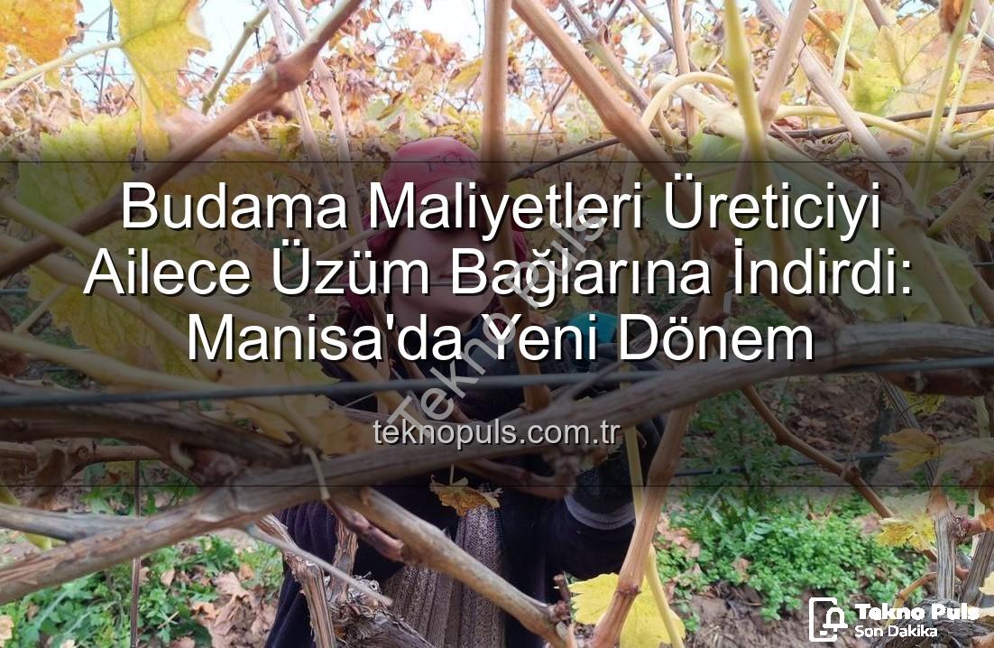 budama maliyeti - Budama Maliyetleri Üreticiyi Ailece Üzüm Bağlarına İndirdi: Manisa'da Yeni Dönem