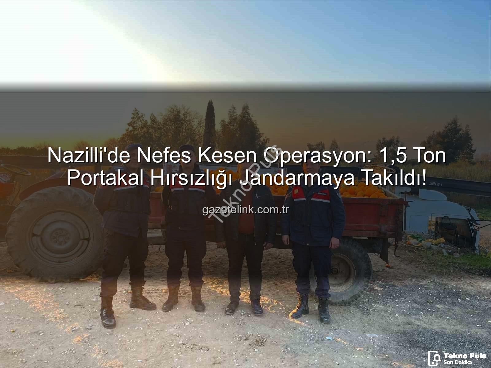 portakal hırsızlığı - Nazilli'de Dev Portakal Operasyonu: 1.5 Ton Çalınan Ürün Jandarmadan Döndü!