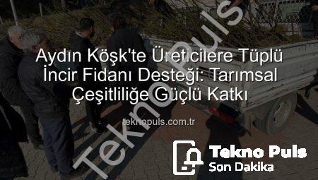 Aydın Köşk’te Üreticilere Tüplü İncir Fidanı Desteği: Tarımsal Çeşitliliğe Güçlü Katkı