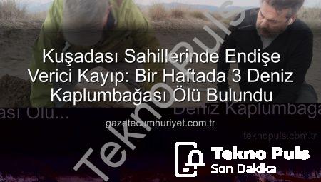 Kuşadası Kıyılarında Endişe Veren Kayıp: Bir Haftada Üç Deniz Kaplumbağası Ölü Bulundu