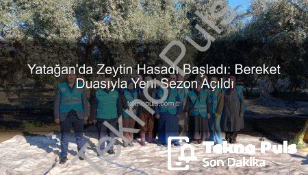 Yatağan’da Zeytin Hasadı Başladı: Bereket Duasıyla Yeni Sezon Açıldı