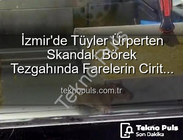 börek tezgahında fare - İzmir'de Tüyler Ürperten Skandal: Börek Tezgahında Farelerin Cirit Attığı Anlar Kameralara Yansıdı!