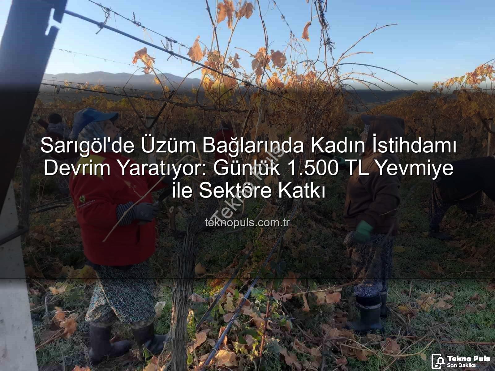 kadın istihdamı - Sarıgöl'de Üzüm Bağlarında Kadın İstihdamı Devrim Yaratıyor: Günlük 1.500 TL Yevmiye ile Sektöre Katkı