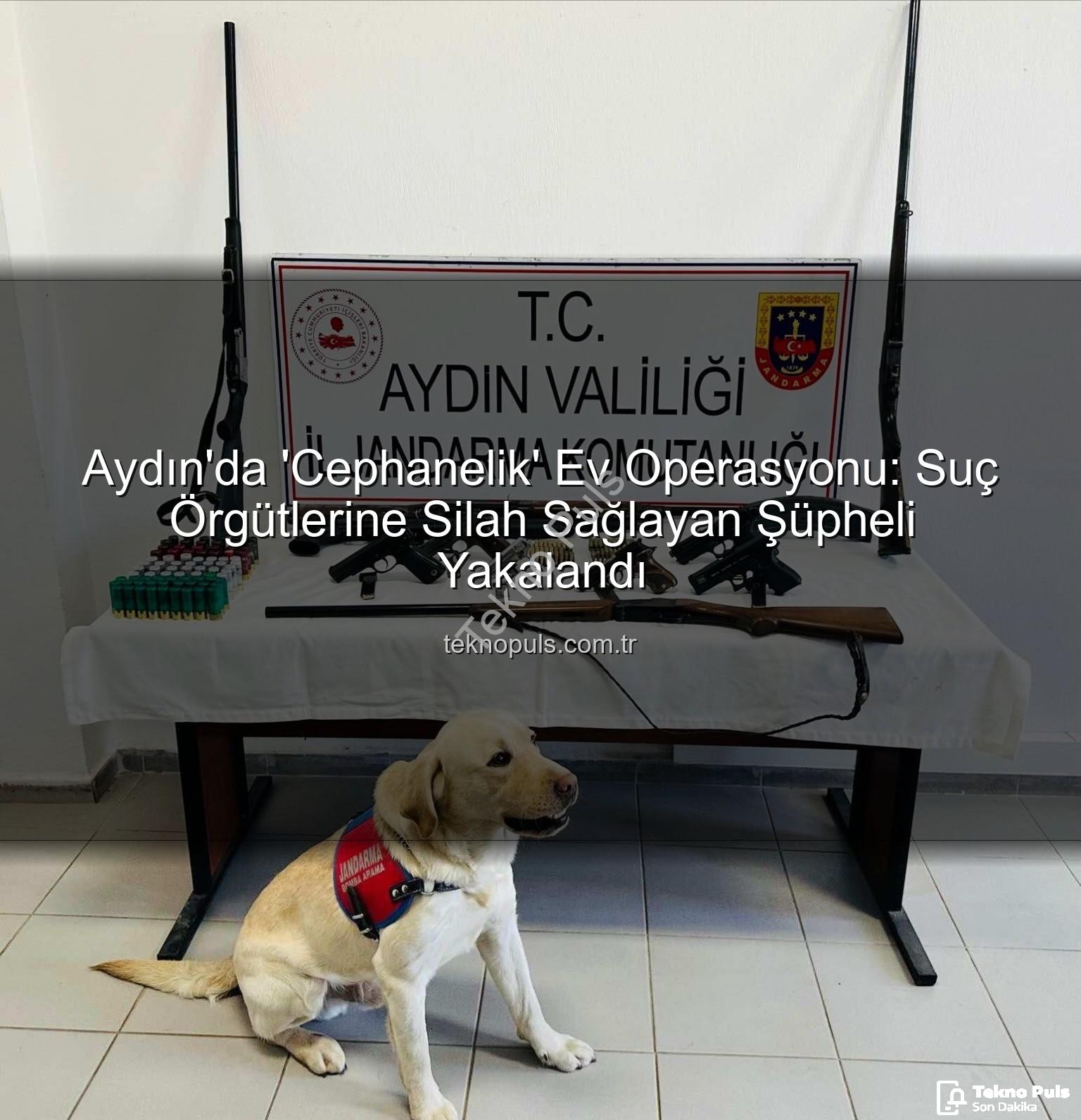 aydın ev operasyonu - Aydın'da 'Cephanelik' Ev Operasyonu: Suç Örgütlerine Silah Sağlayan Şüpheli Yakalandı