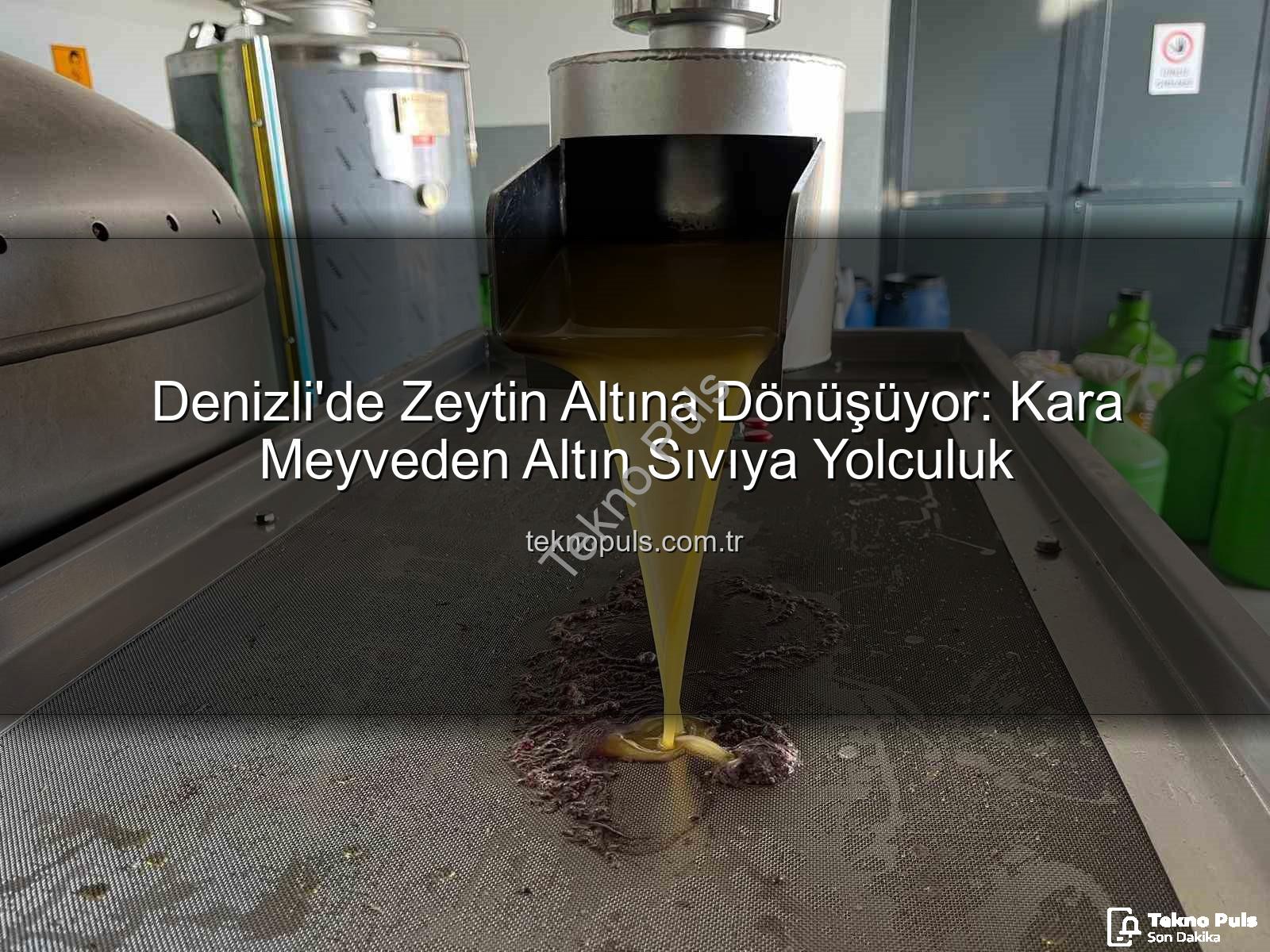 zeytinyağı üretimi - Denizli'de Zeytin Altına Dönüşüyor: Kara Meyveden Altın Sıvıya Yolculuk