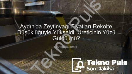 Aydın’da Zeytinyağı Fiyatları Rekolte Düşüklüğüyle Yükseldi: Üreticinin Yüzü Güldü mü?