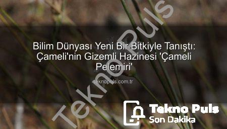Bilim Dünyası Yeni Bir Bitkiyle Tanıştı: Çameli’nin Gizemli Hazinesi ‘Çameli Pelemiri’